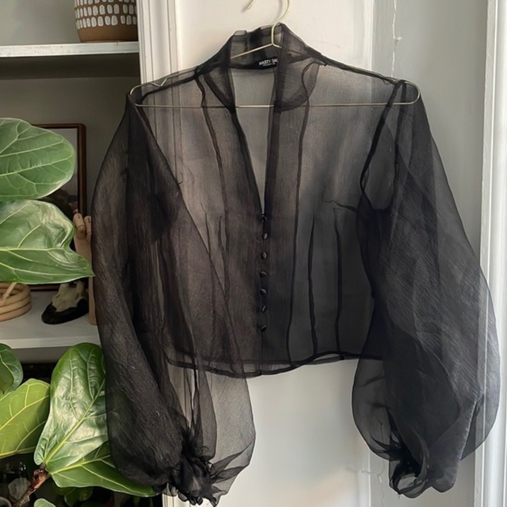Nasty Gal Sheer balloon sleeve top